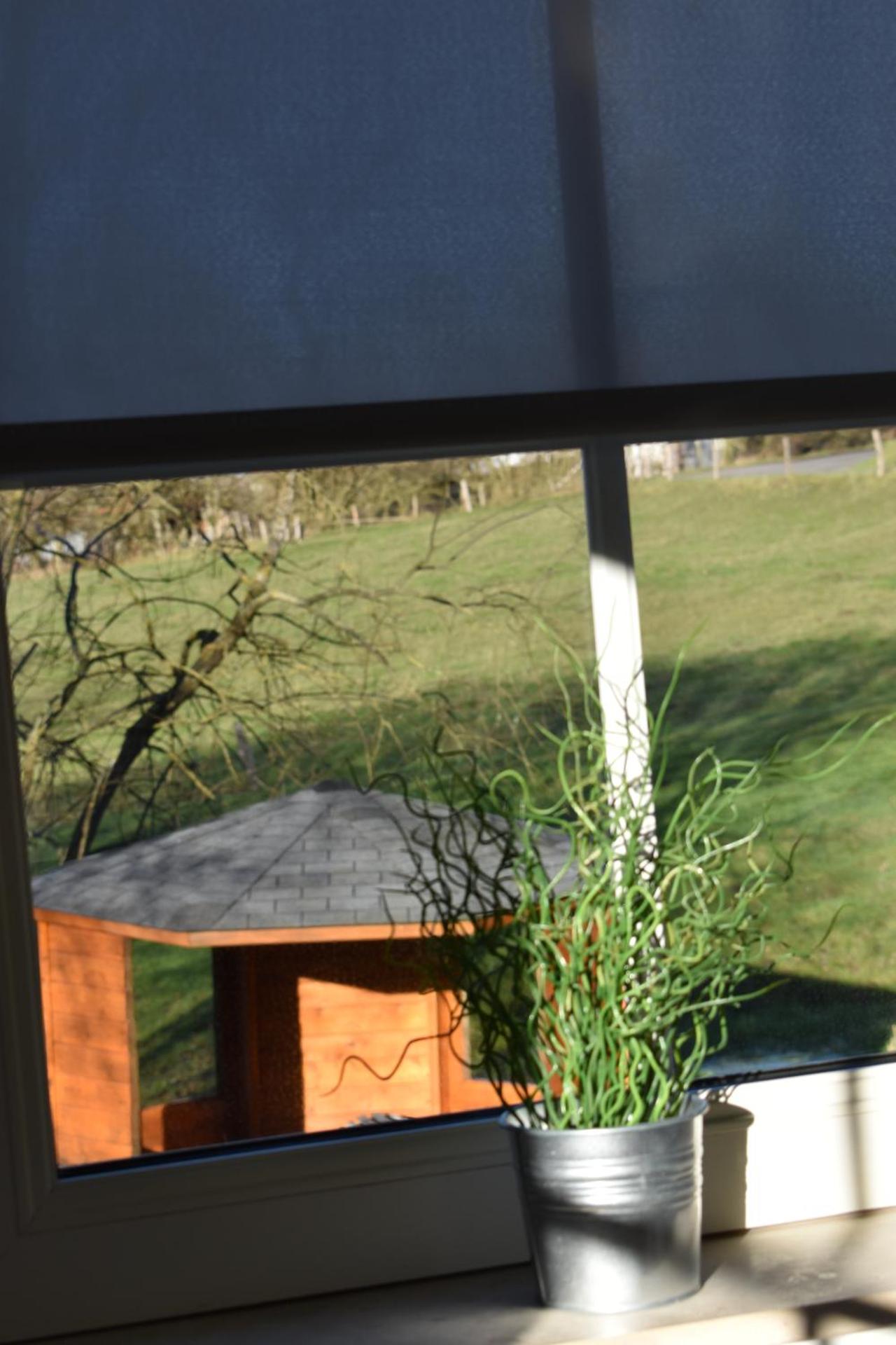 Gîte du cheval blanc