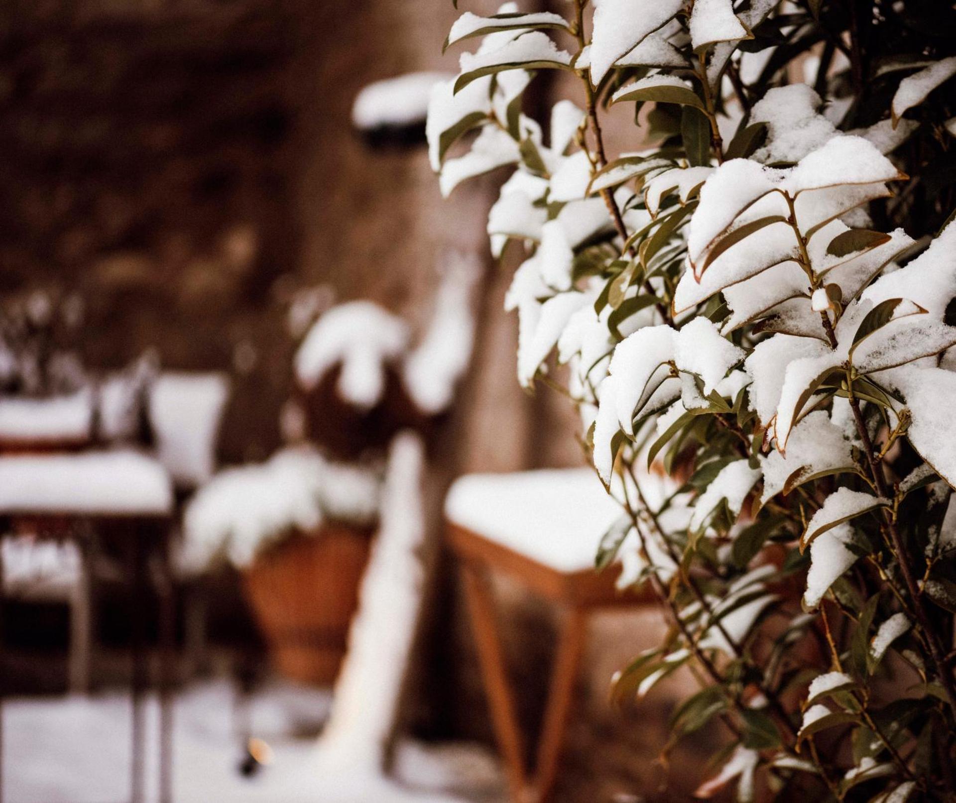 Landhaus Halferschenke