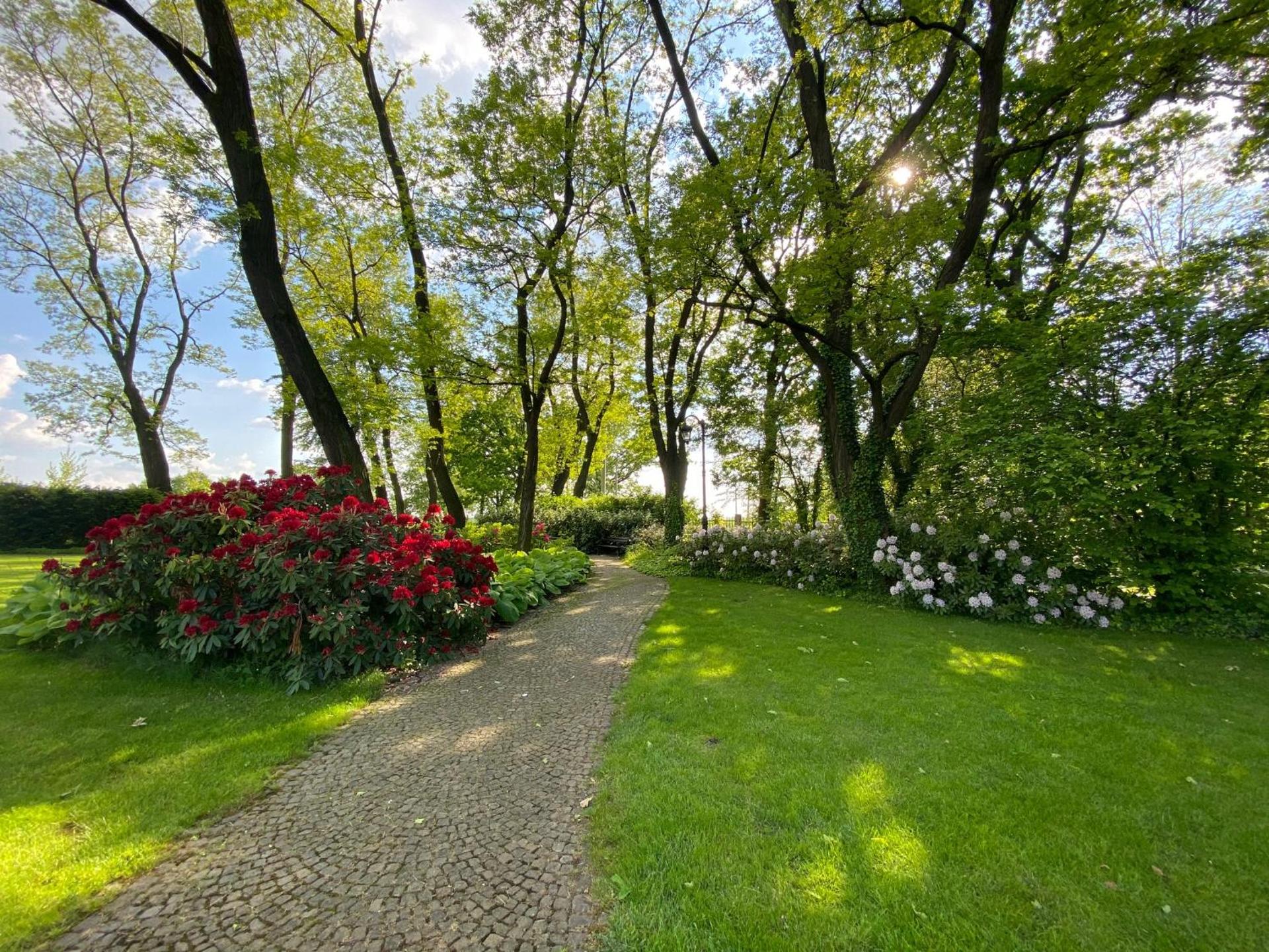 Hotel Pałac Borynia