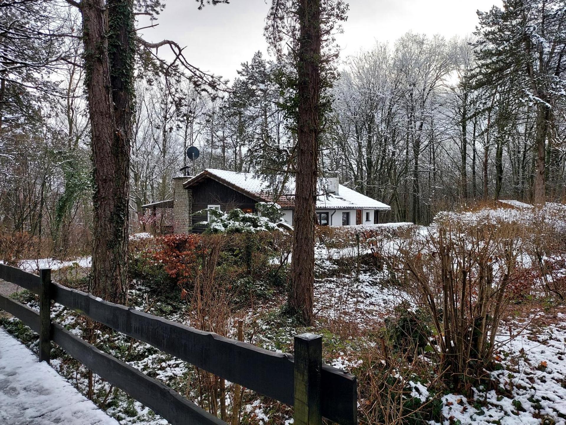 Chalet des pins d'Autriche