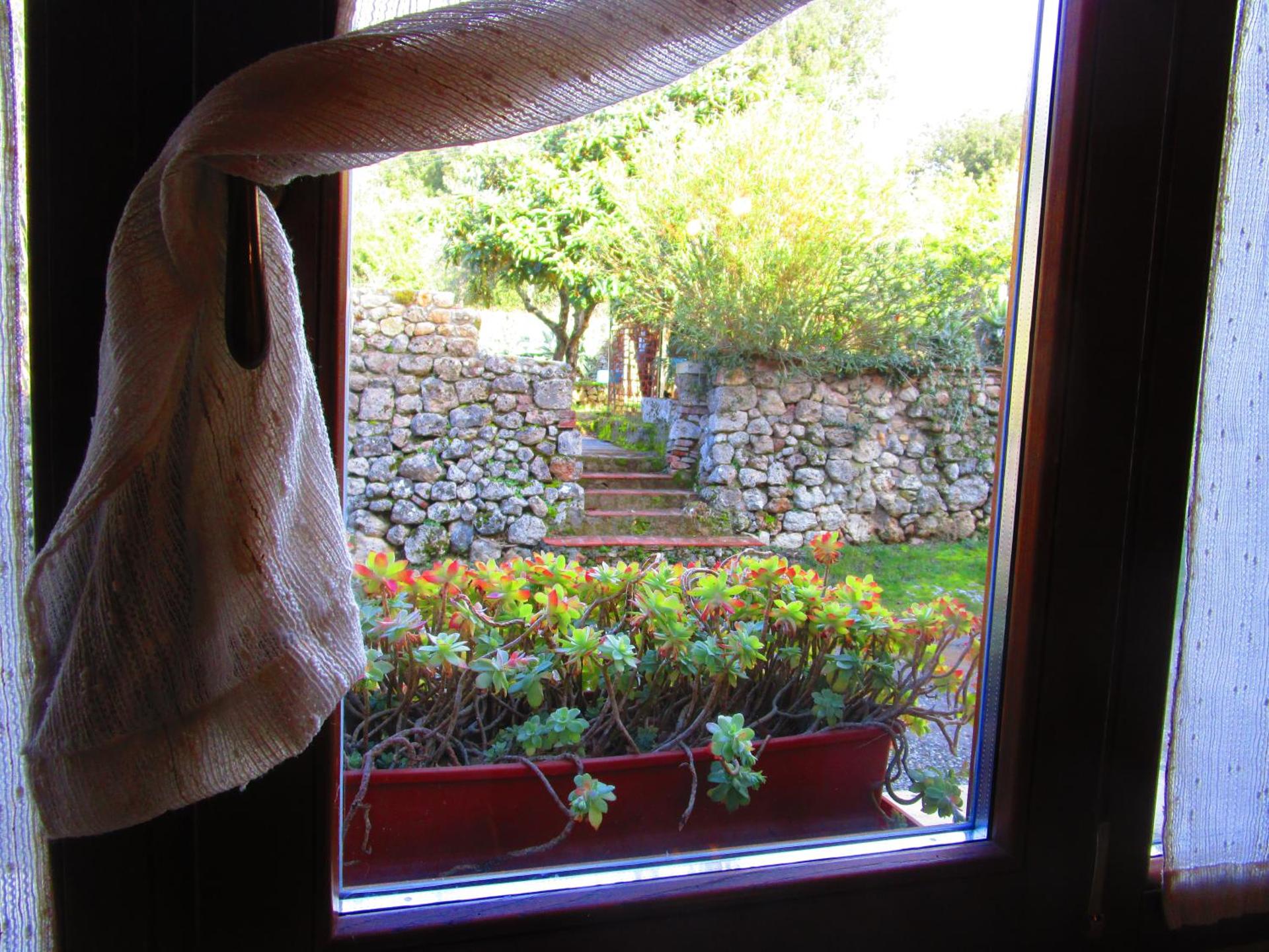 Il Mandorlo di Monteriggioni