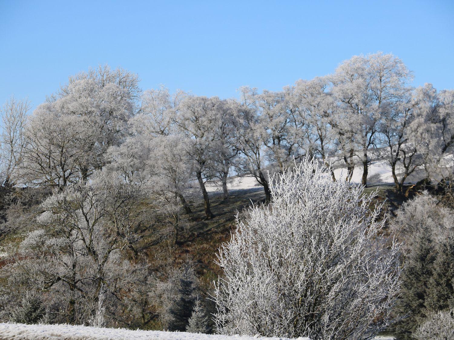 Macaw Cottages No 4A