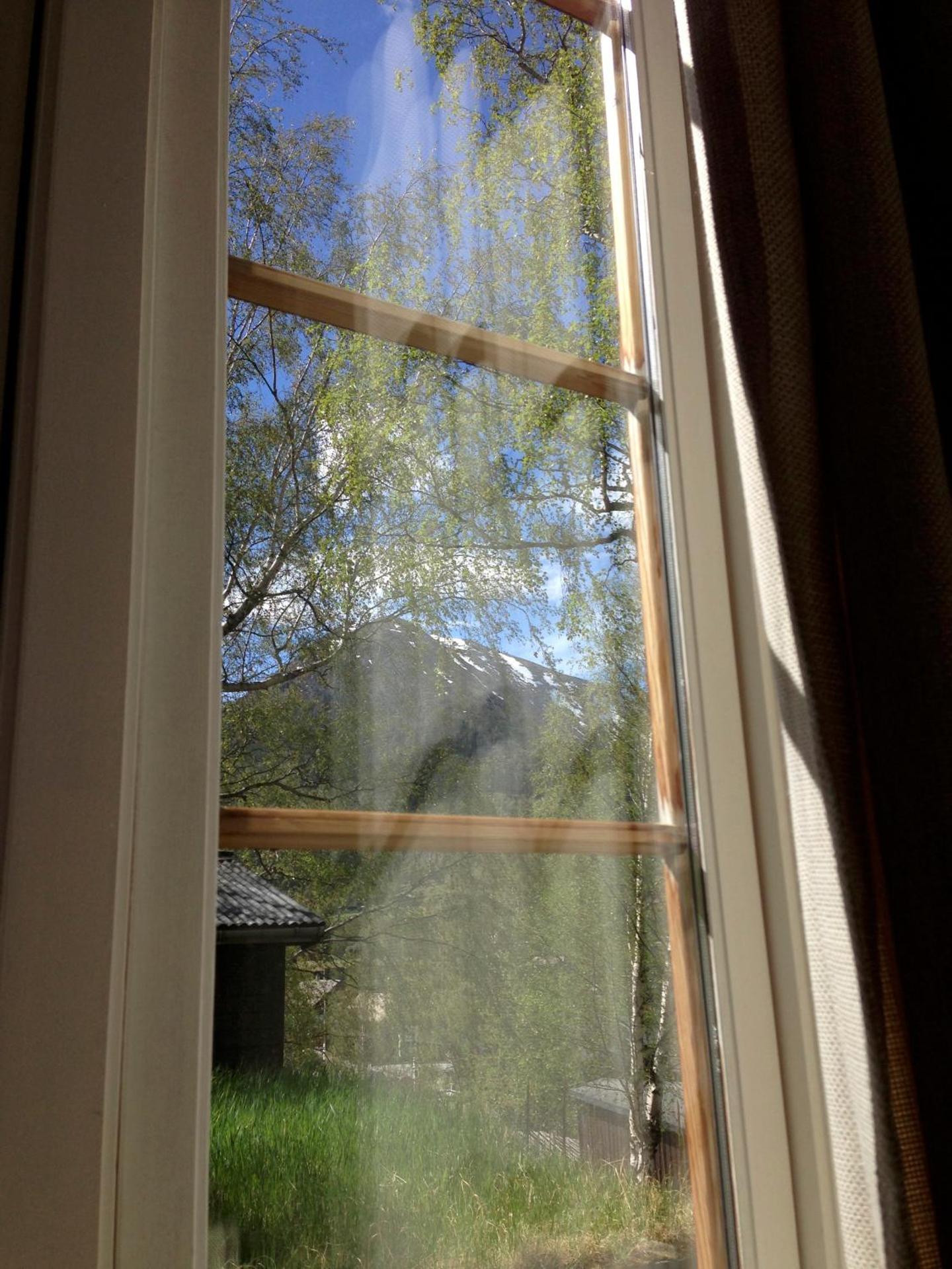 View (from property/room)