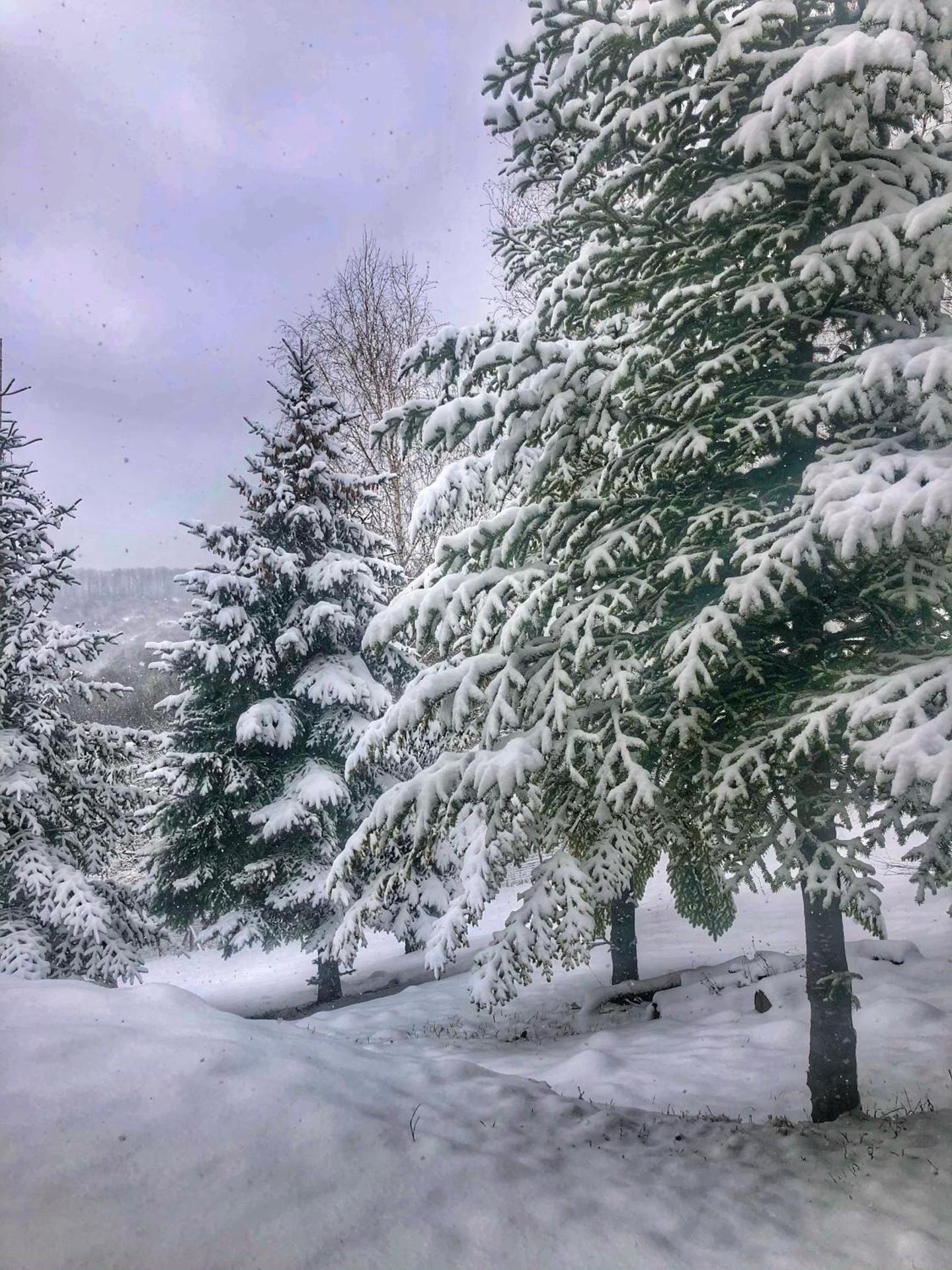 Szarvaslak Zalaújlak