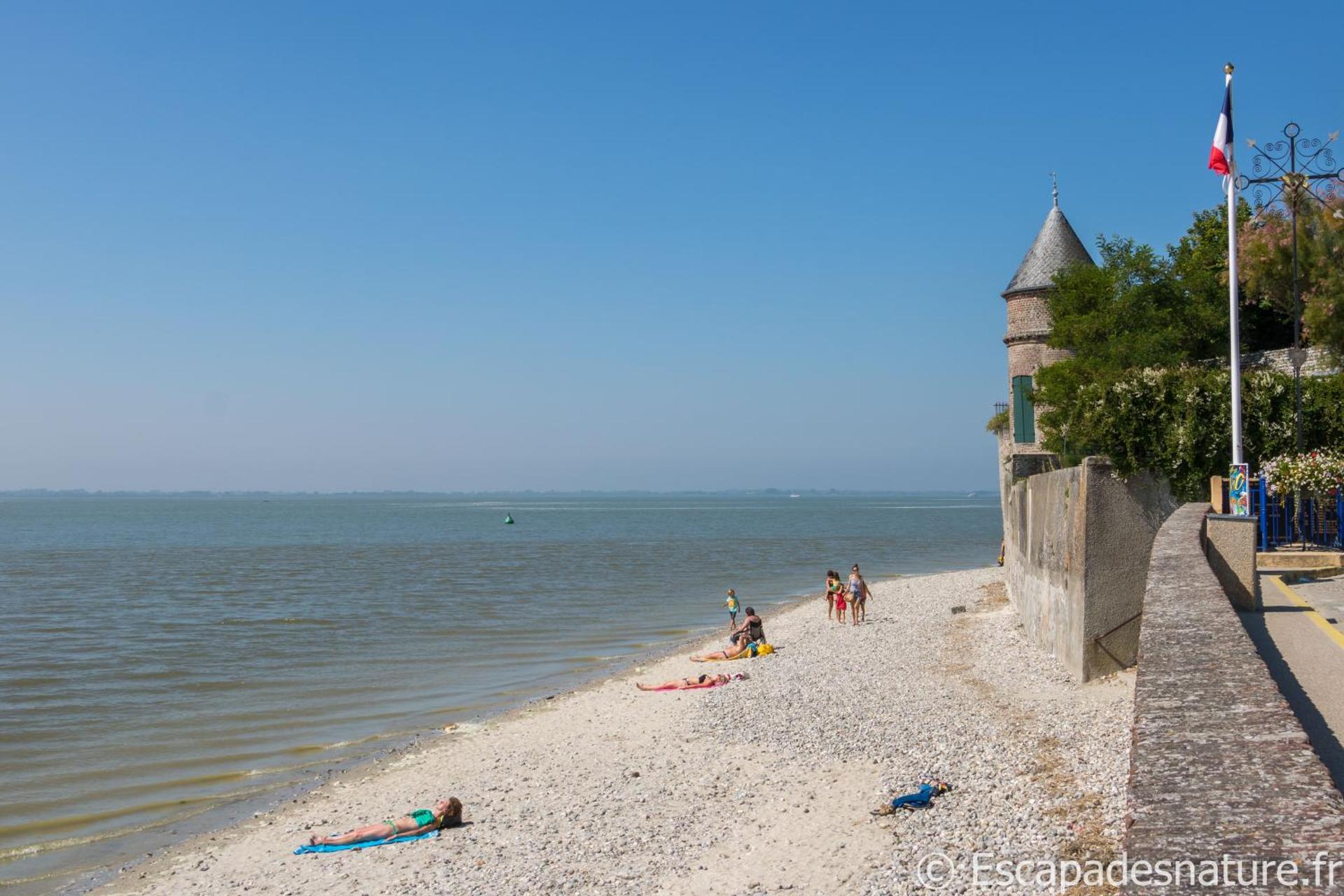 Le Crotoy plage Baie de somme appartement l'Avocette