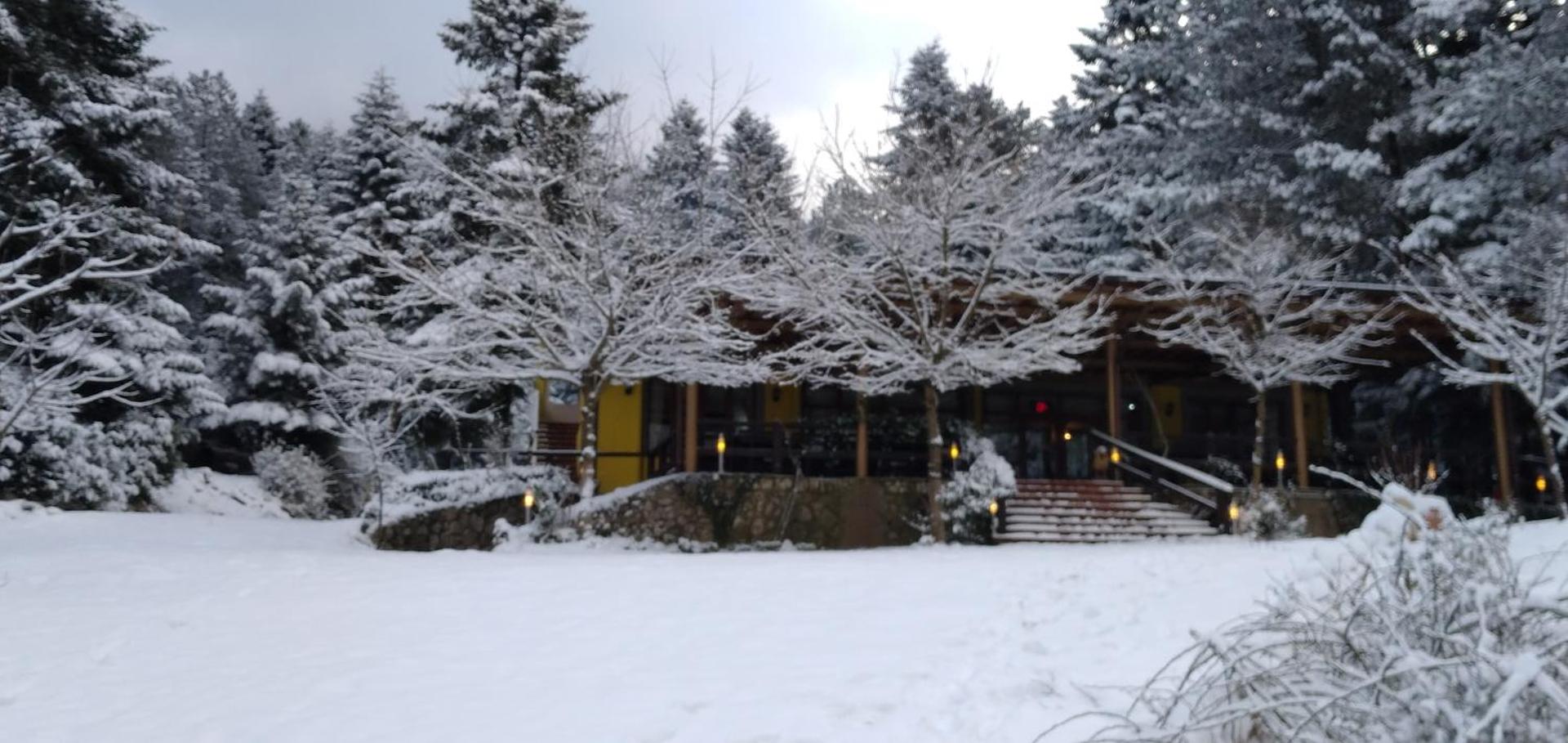 Guesthouse Alberti Llogara