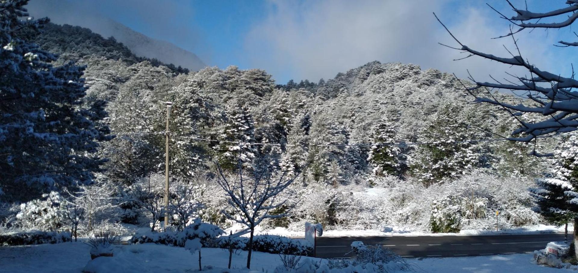 Guesthouse Alberti Llogara