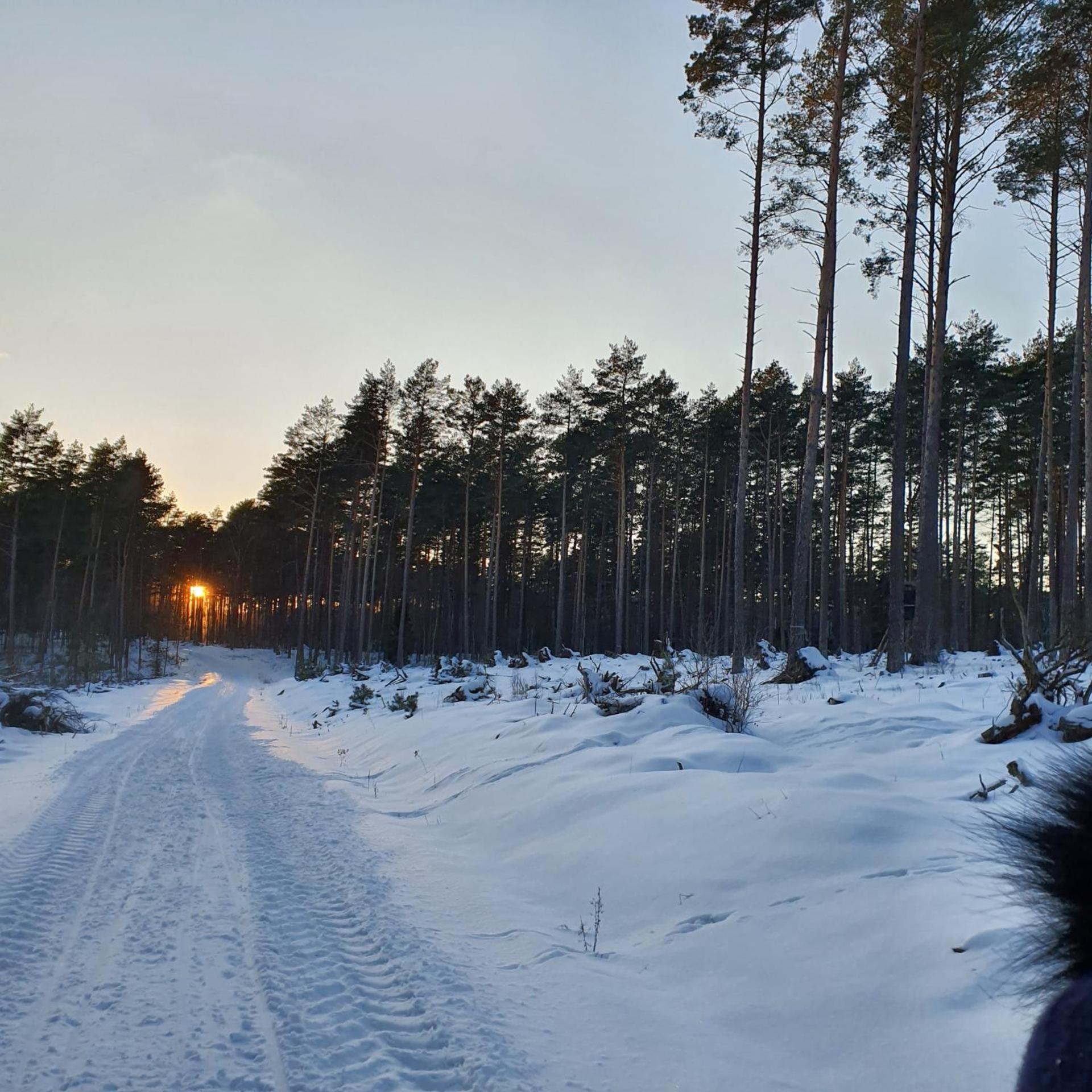 Agro Breza dom z kominkiem 80 metrów od jeziora - sauna, balia ogrodowa