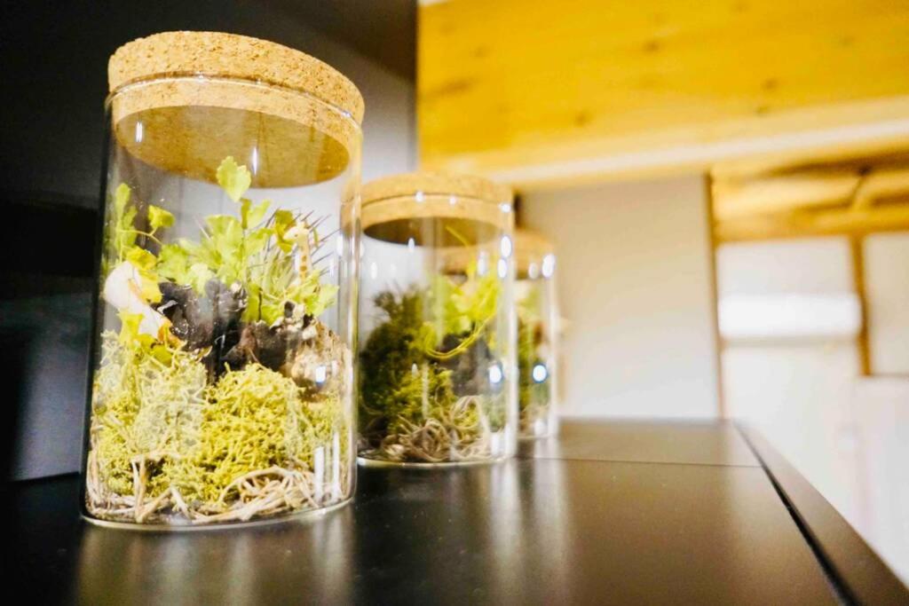 48坪！道後温泉付近駐車場有り清潔さと設備の充実さが高評価 大切な家族仲間と広々とくつろげます