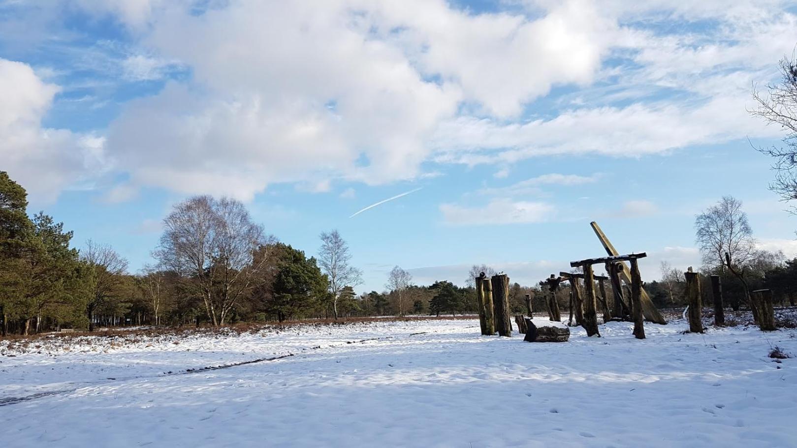 Chalet Op De Veluwe # Berk