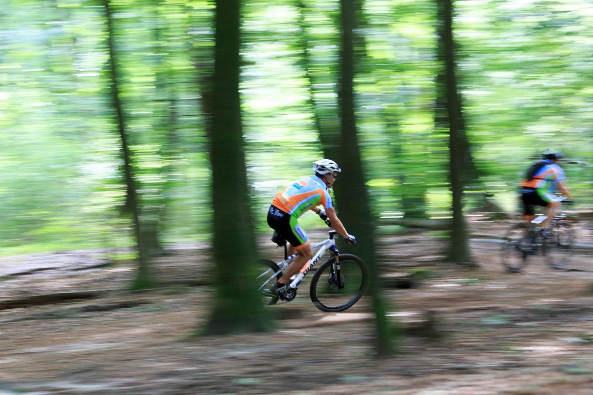 Chalet Op De Veluwe # Berk