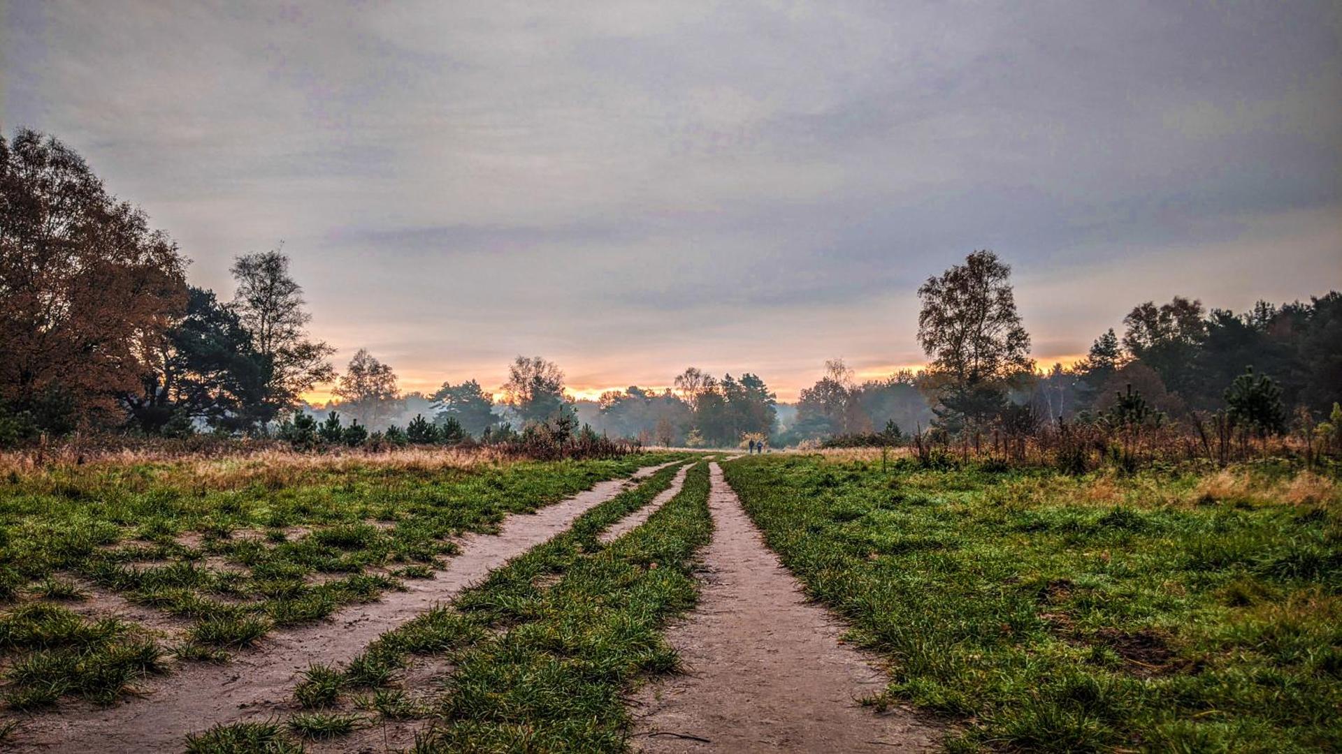 Chalet Op De Veluwe # Berk