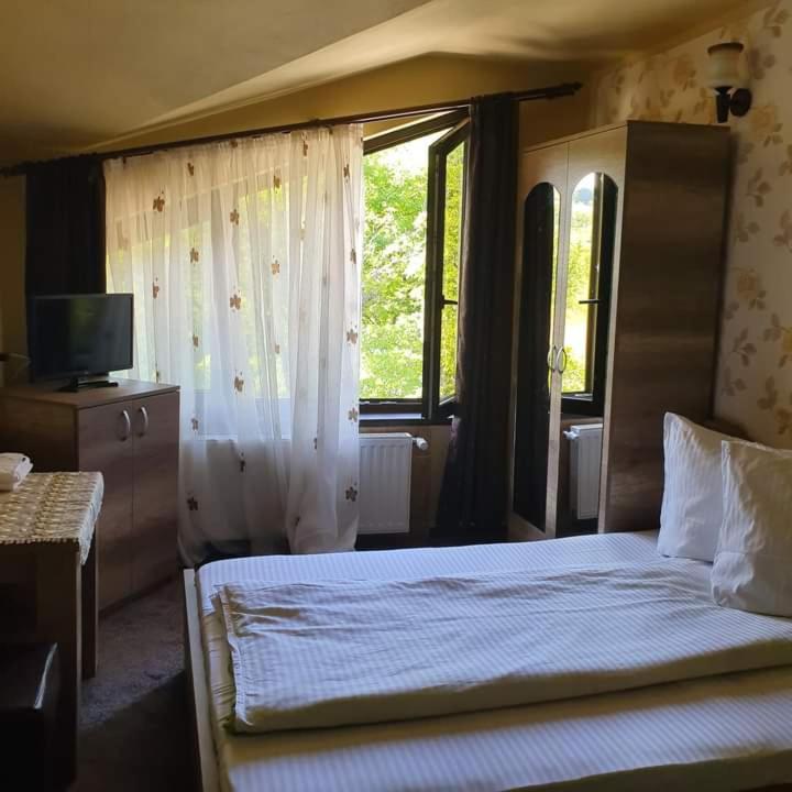 Pensiunea Mirela Peștera Urșilor