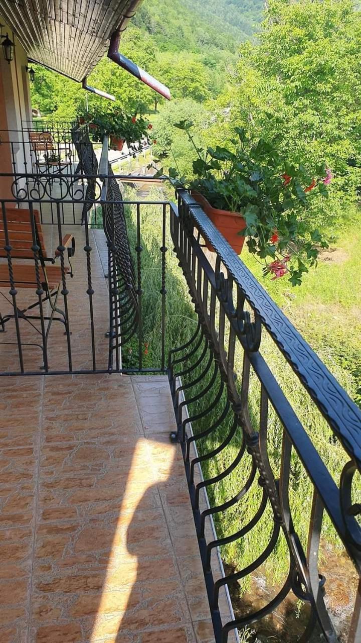 Pensiunea Mirela Peștera Urșilor