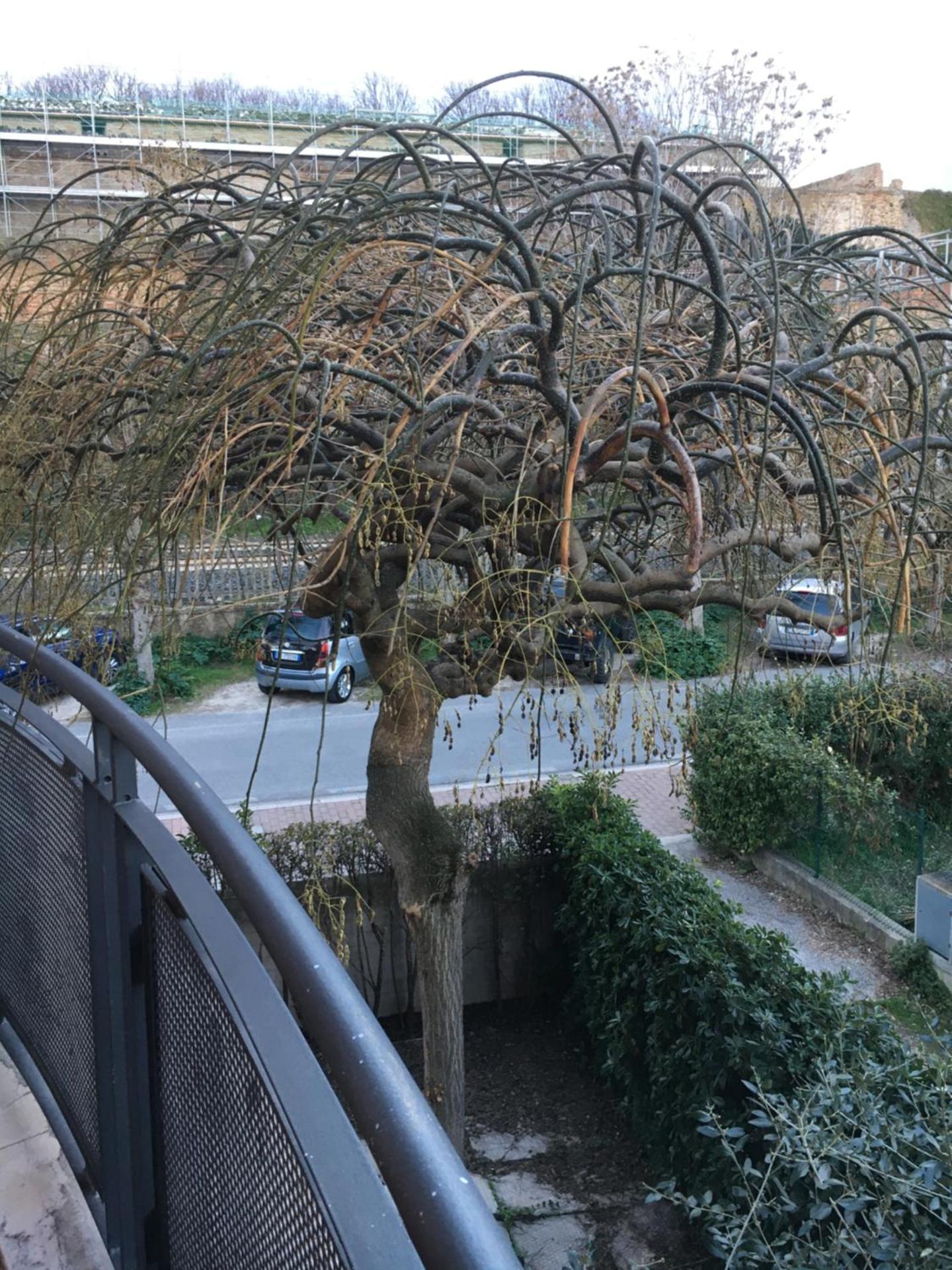 Residence Il Porto 2