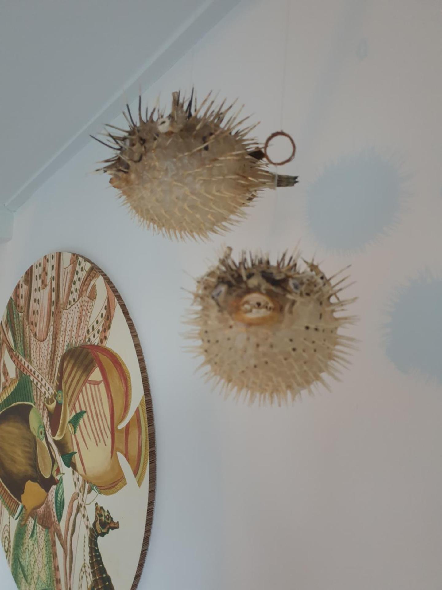 Little Lodge Noordwijk aan Zee