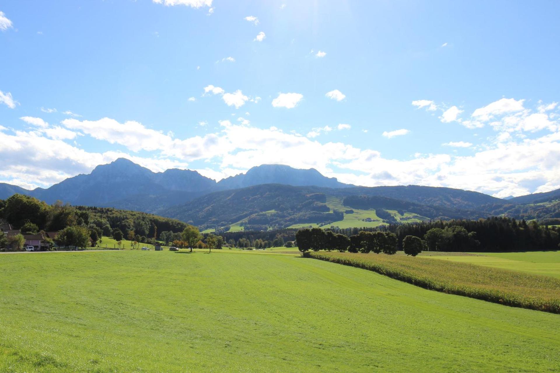 Ferienwohnung Alpenblick