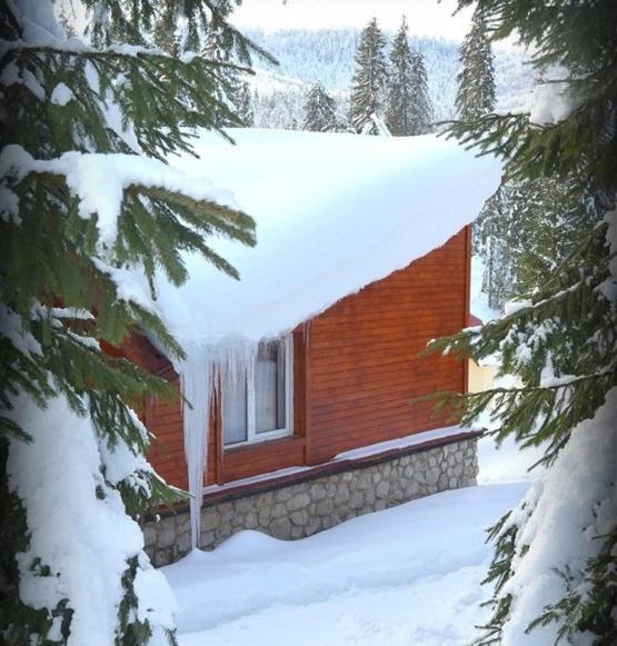 Vila IZVORUL MINUNILOR