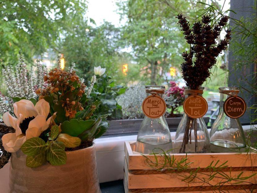 Le Soleil Couchant/Chambre d'hôtes