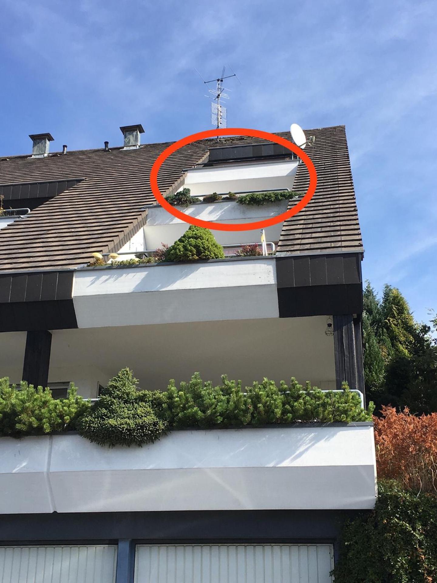 View (from property/room)