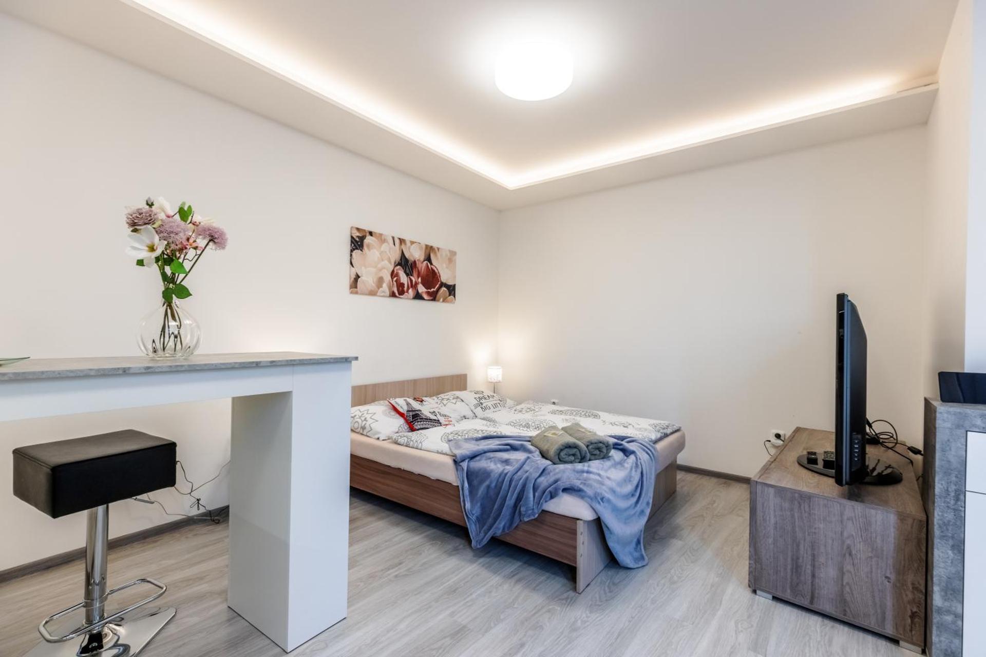 APARTIA Skořepka 15, Brno-center