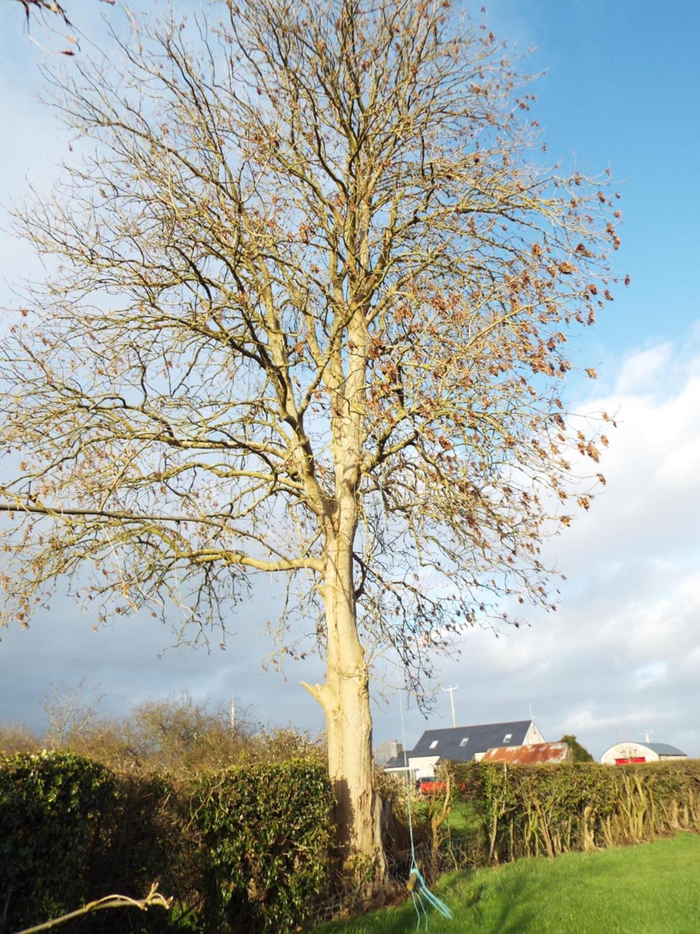 Knockalla luxury property with hot tub suitable for families