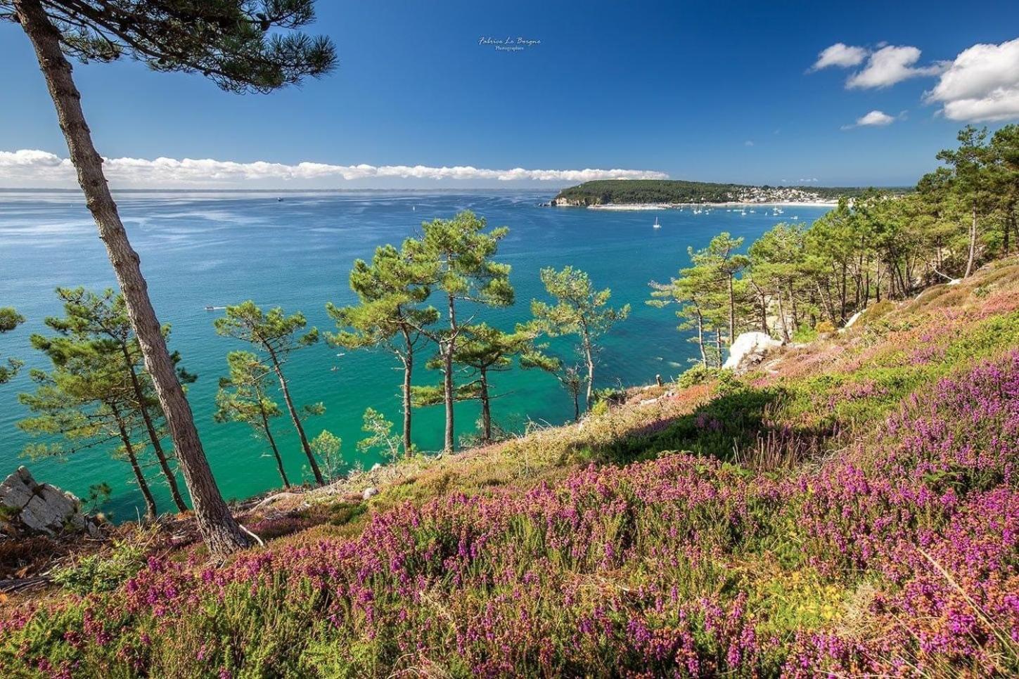 Appartement cosy les pieds dans l’eau, vue mer exceptionnelle