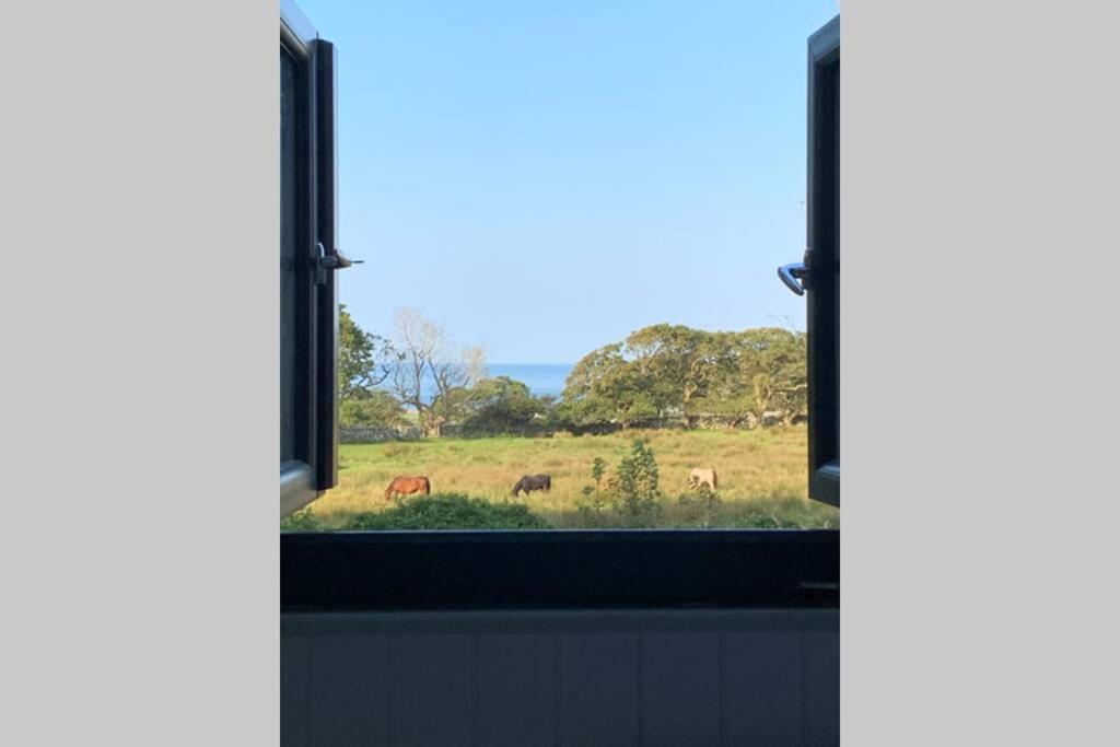 Lle Mary - Beautiful views, Hot tub, Secluded, Dog Welcome, Barmouth