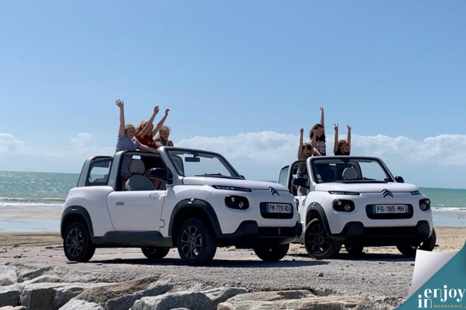 Villa Denise Grand Gîte