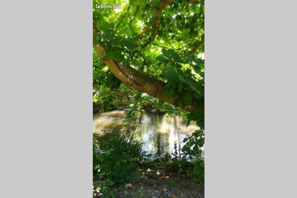 Mobil-Home 6 personnes à Munster en Alsace