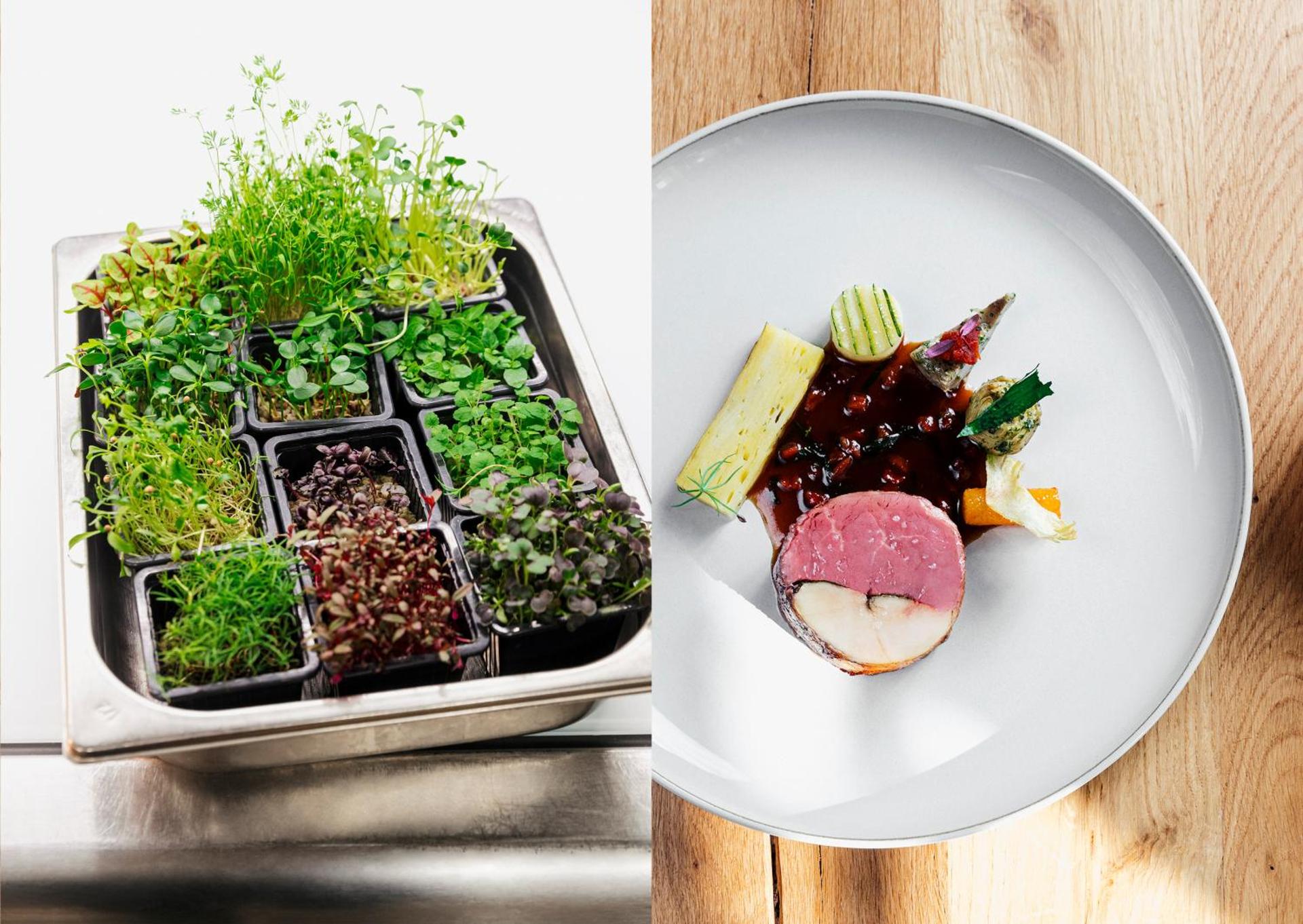 Restaurant/places to eat