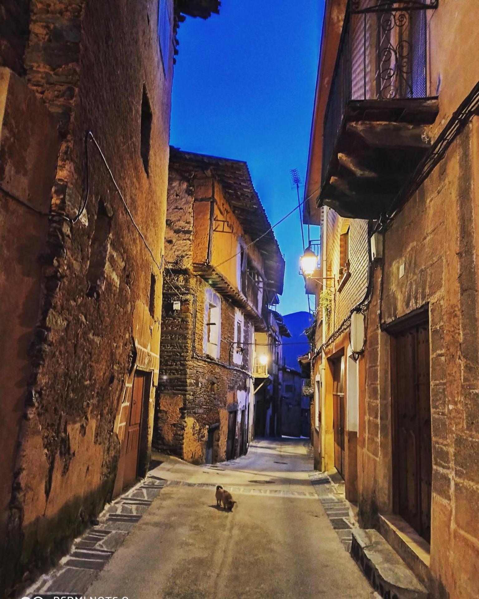 Bungalow with Garden View