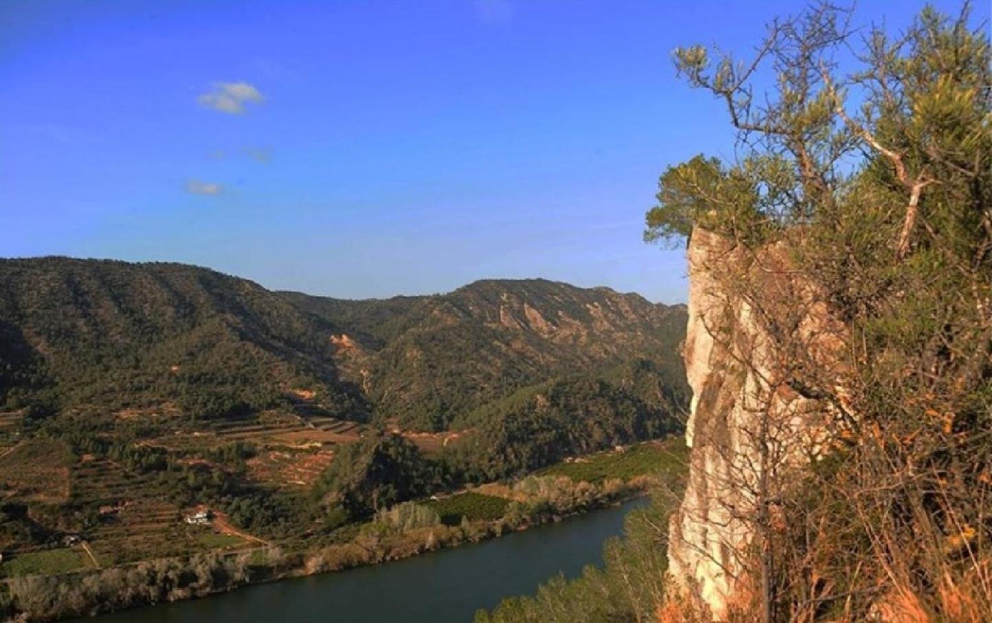 Pension Subirats Perello