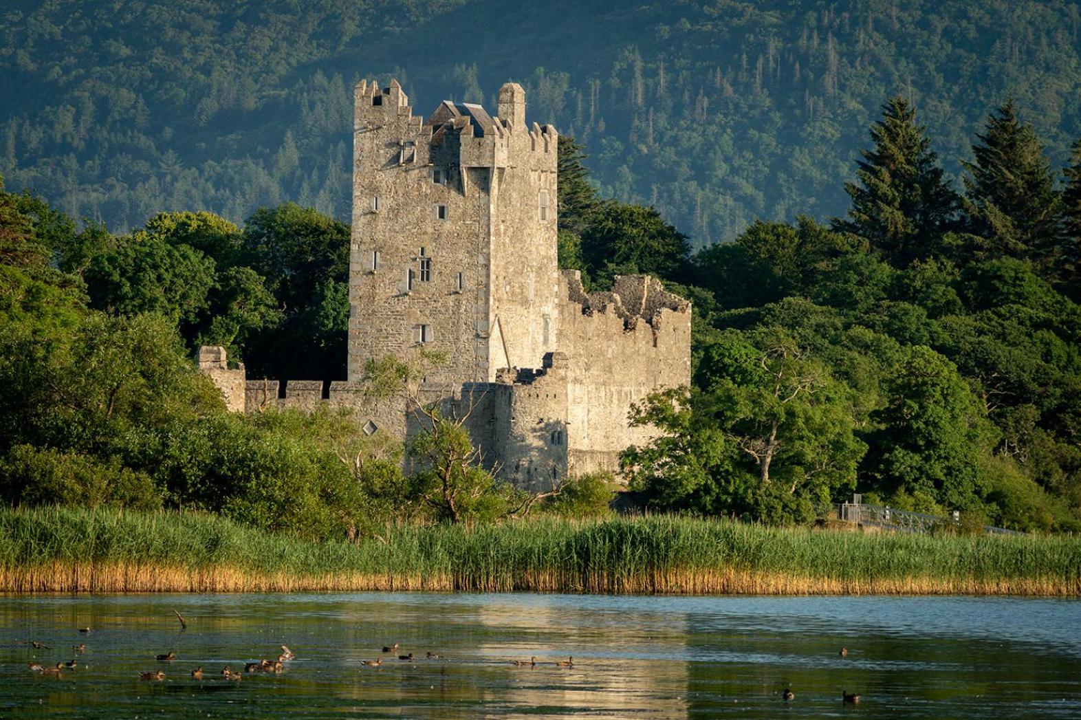 Haven Suites - Killarney Self Catering