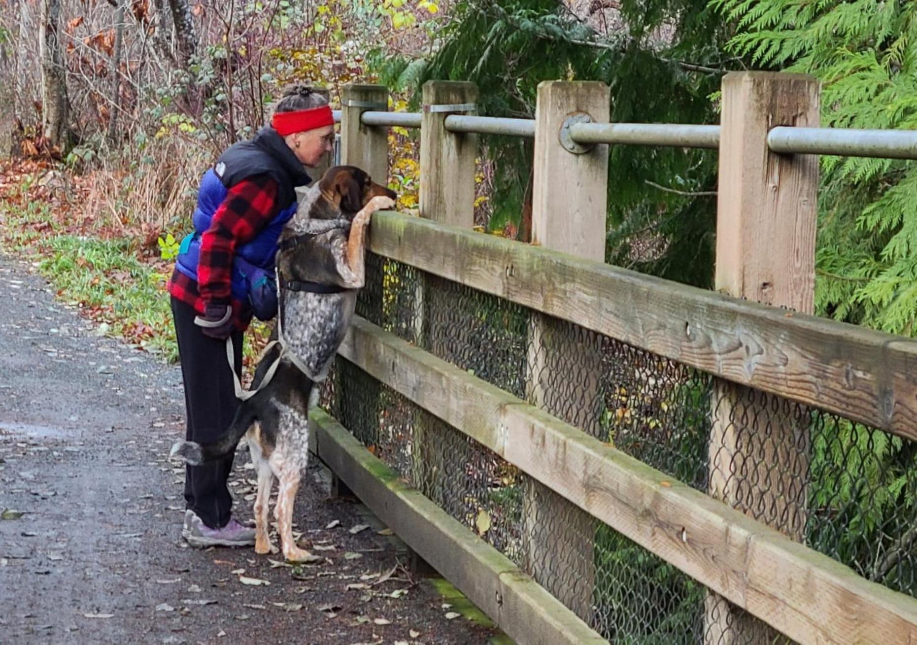 Cycle Inn Bed and Breakfast