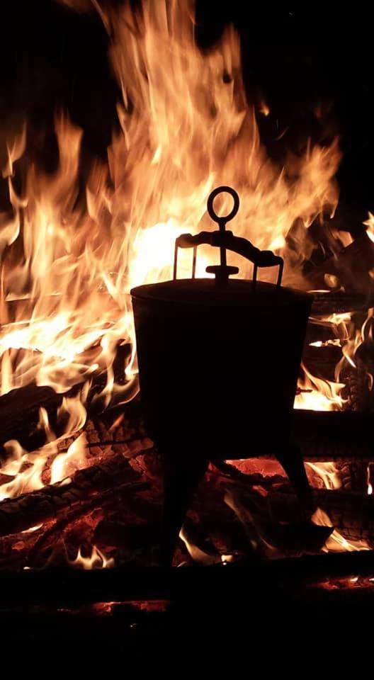 Agroturystyka Pod Świerkiem