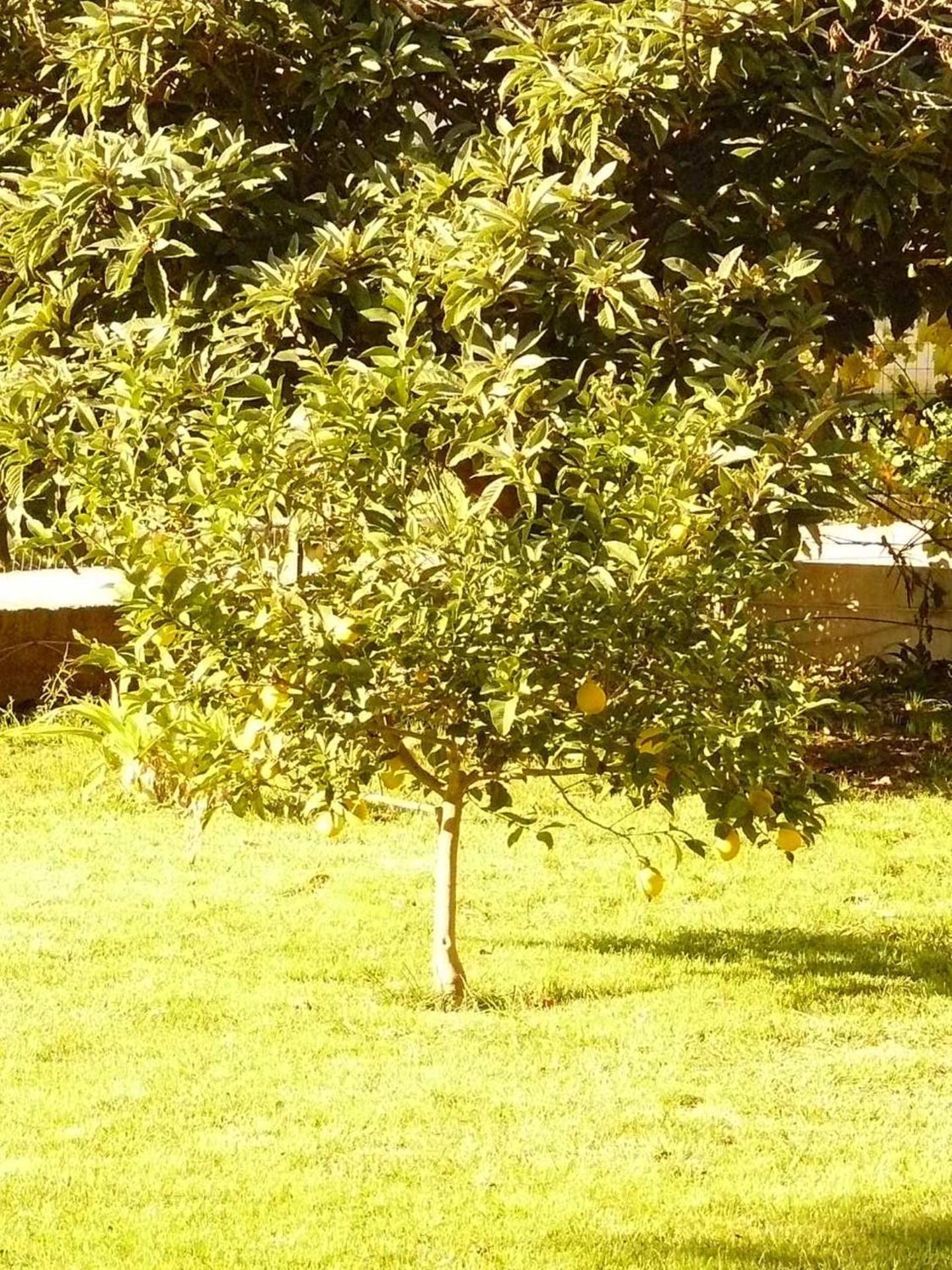 Trogirsunset Apartments - since 2000