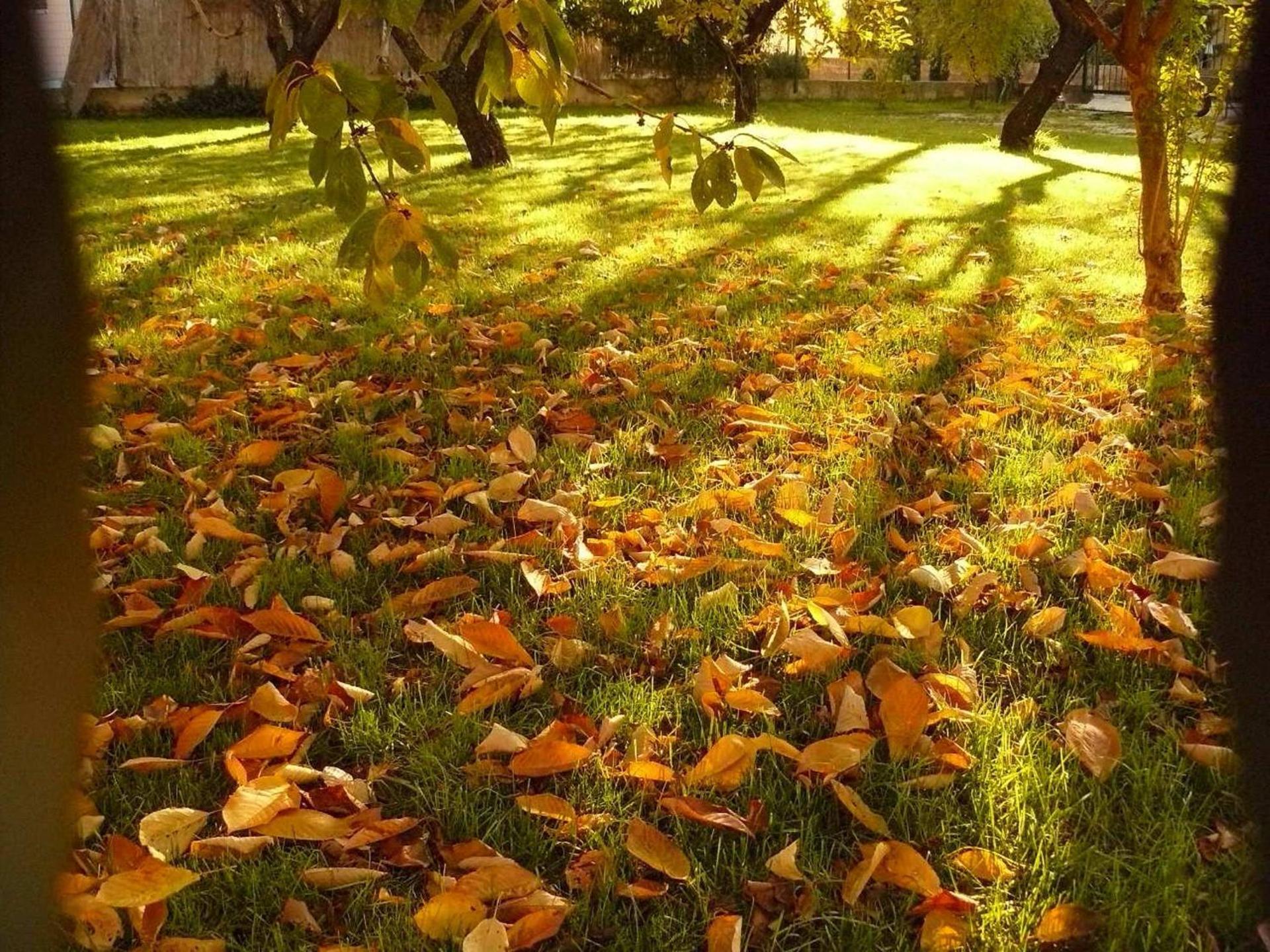 Trogirsunset Apartments - since 2000