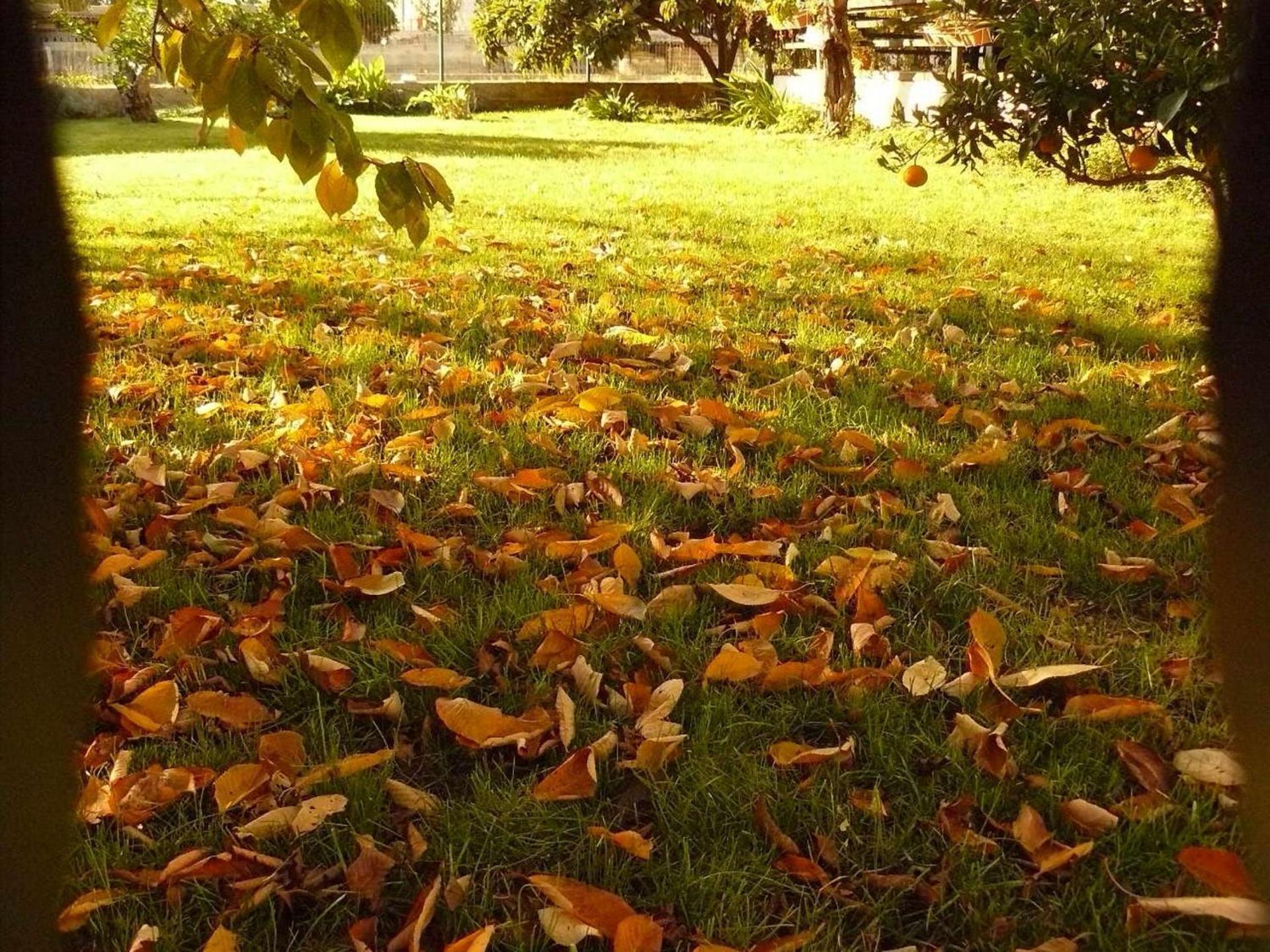 Trogirsunset Apartments - since 2000