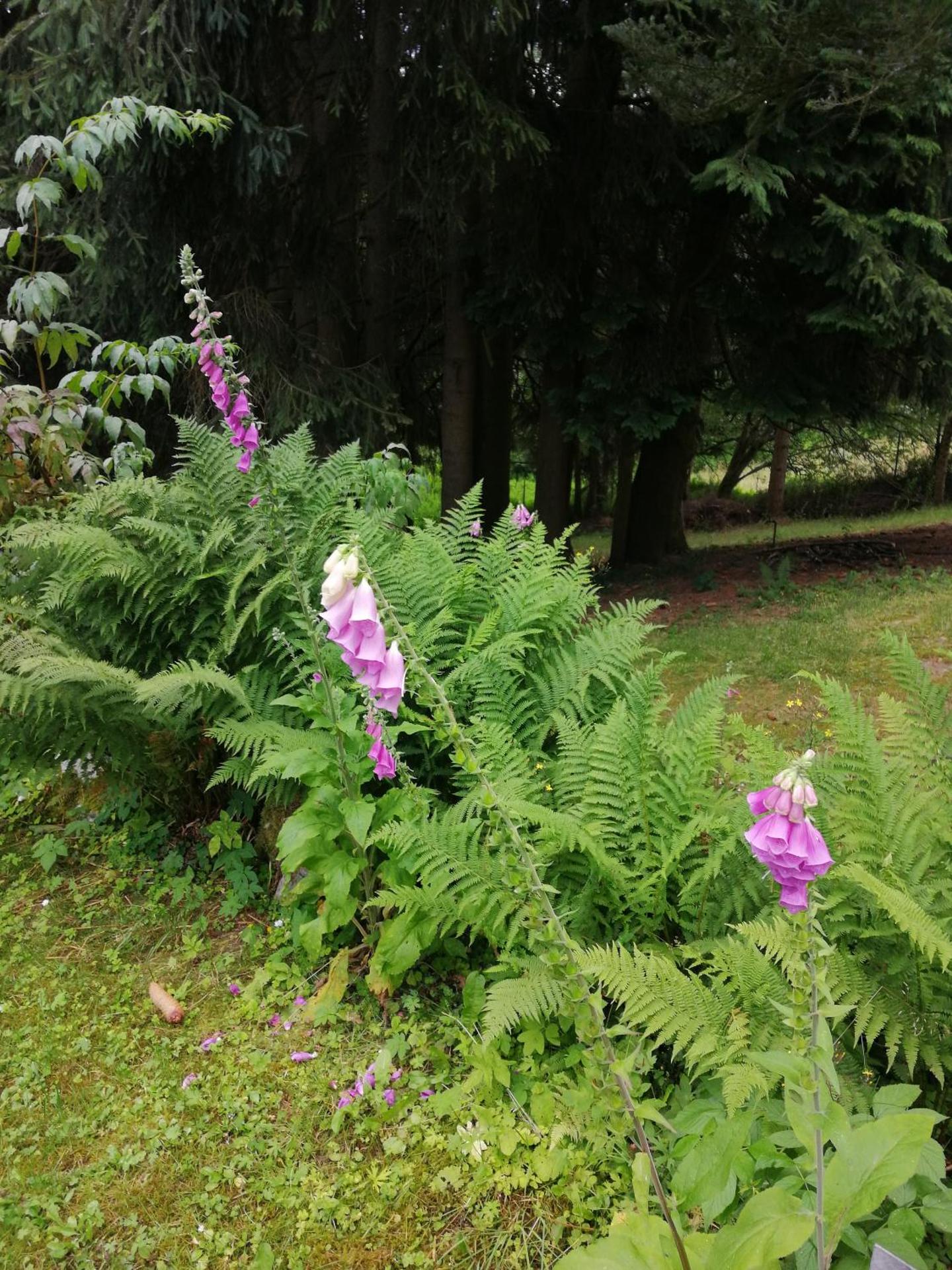 Landhaus am Fritzschberg