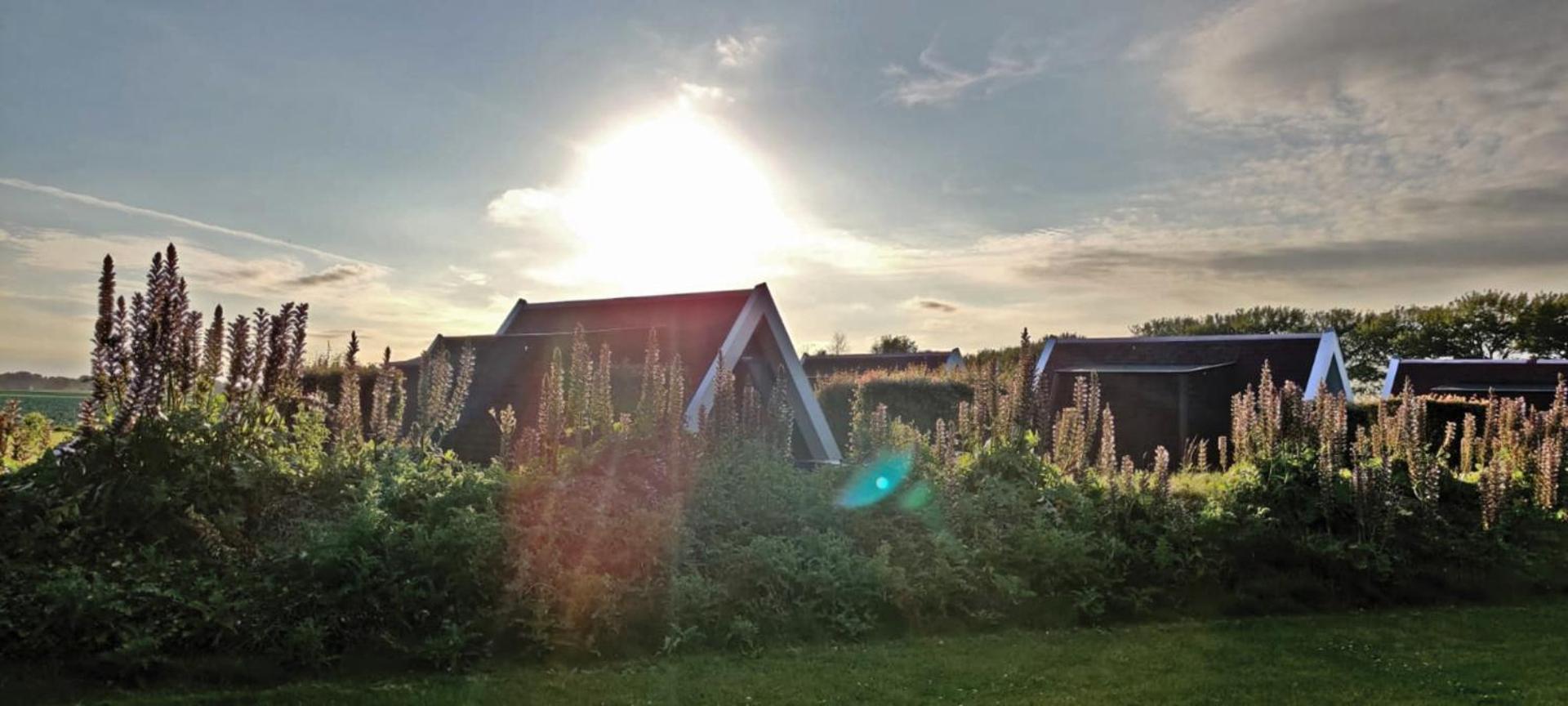 Hotelhuisje Warmenhuizen #F