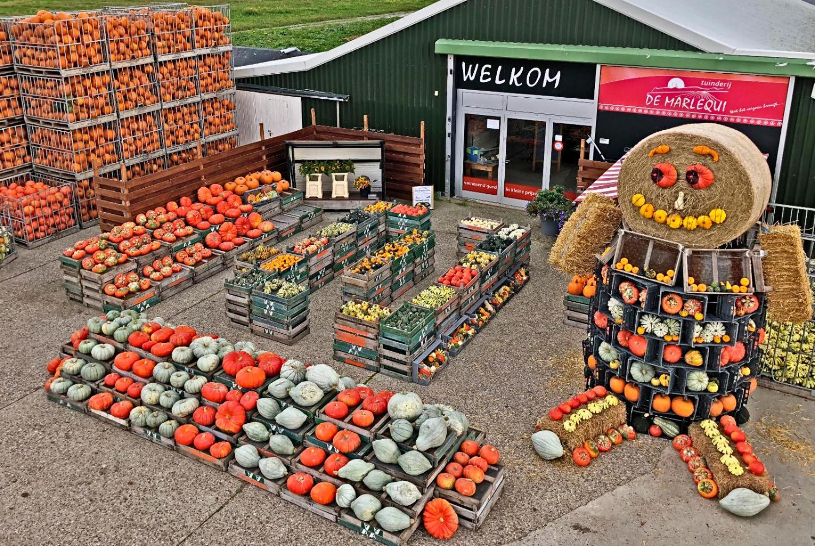 Hotelhuisje Warmenhuizen #F