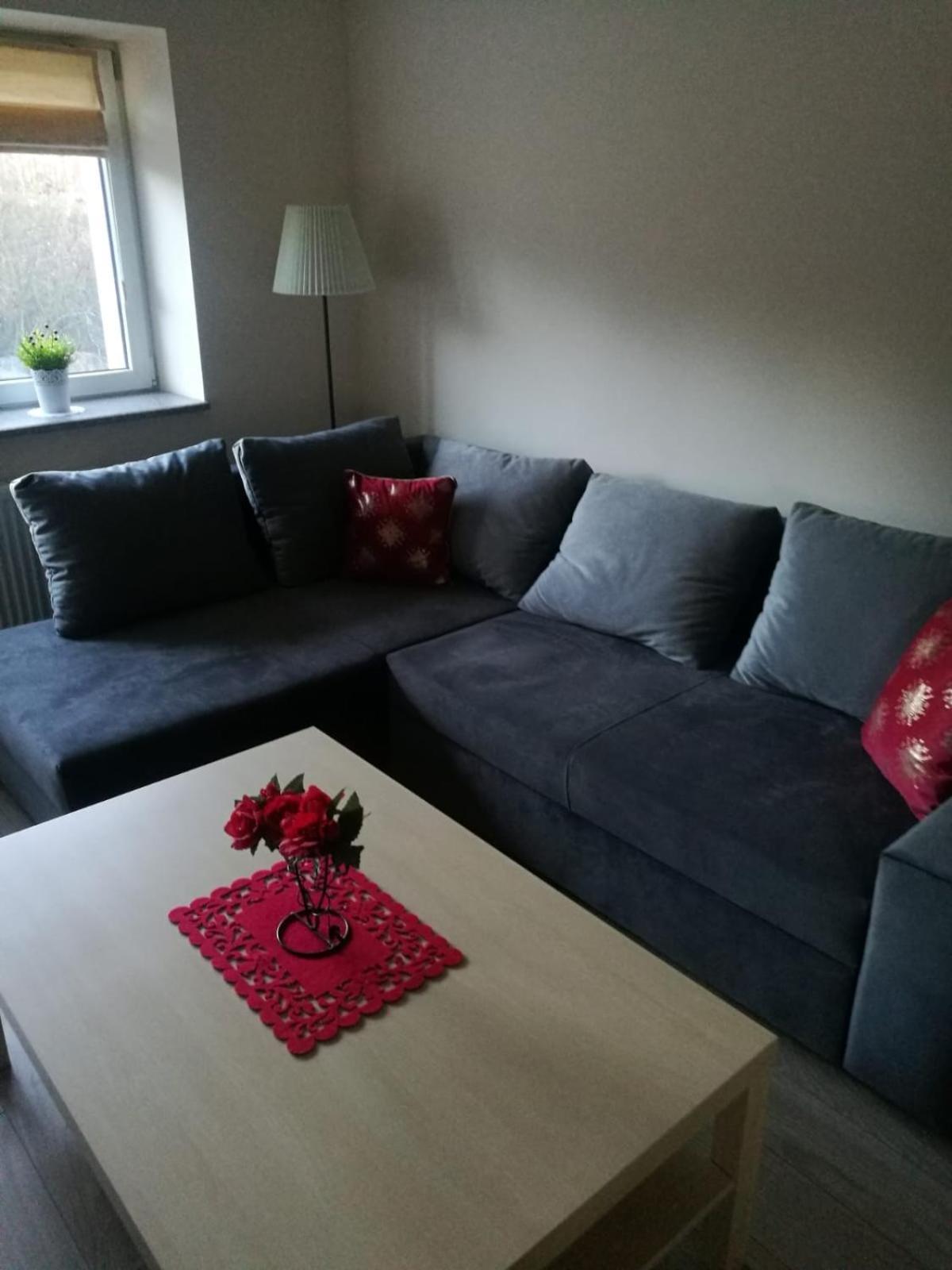 dom do wynajecia oaza