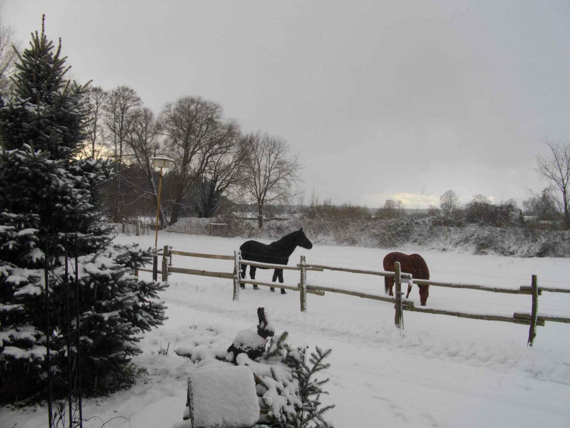 Apartments in Lübben Spreewald 26522