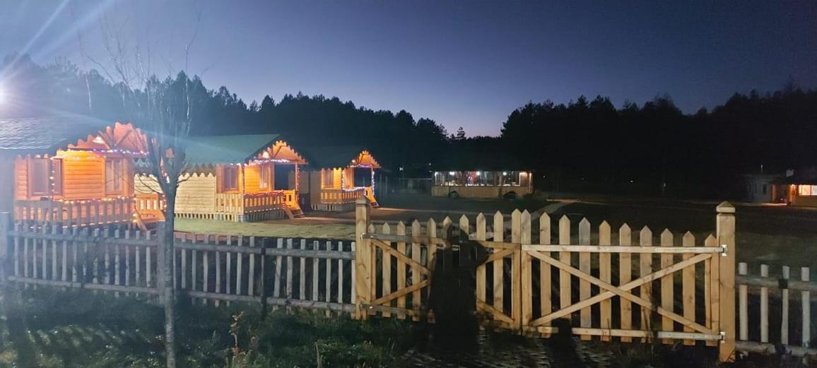 Camping Farm Shelegur