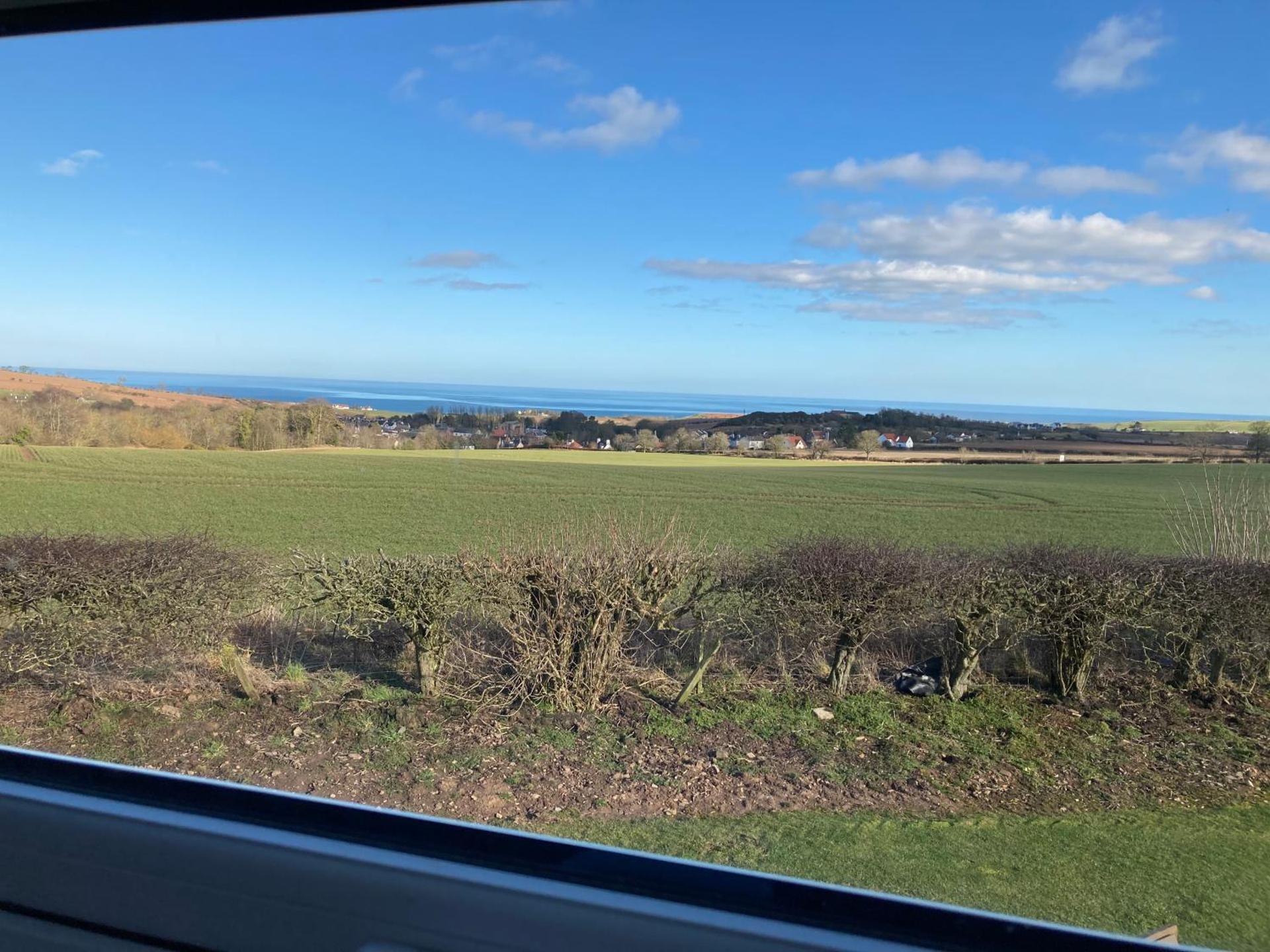 The Cedar Tiny House