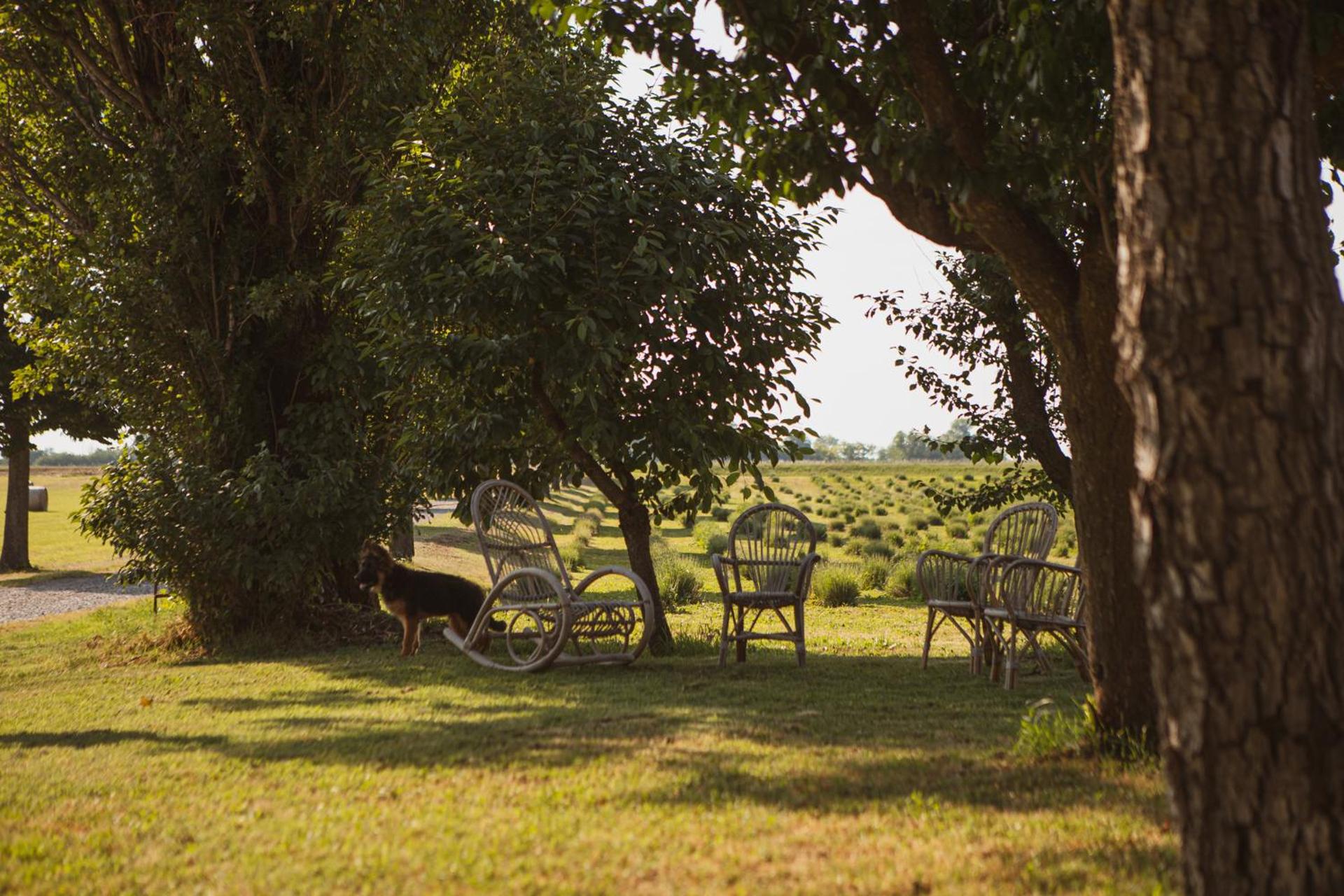 Agriturismo Il Capitolo