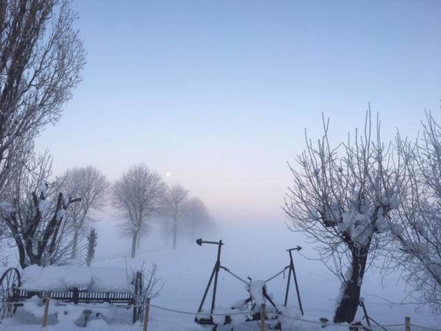 Agriturismo Il Capitolo
