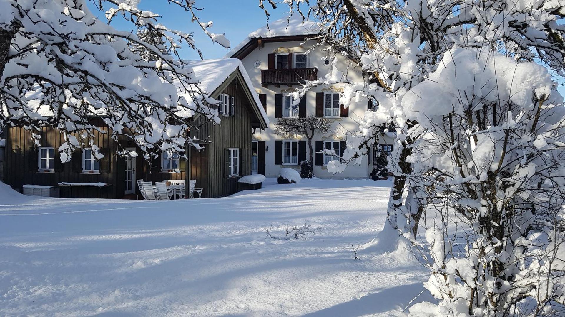 Villa Waldfrieden - Ferienwohnungen und -Haus