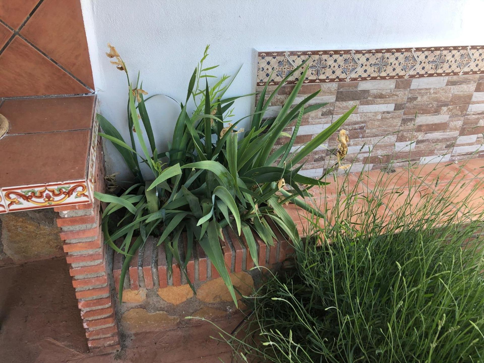 Chalet Embalse Bermejales